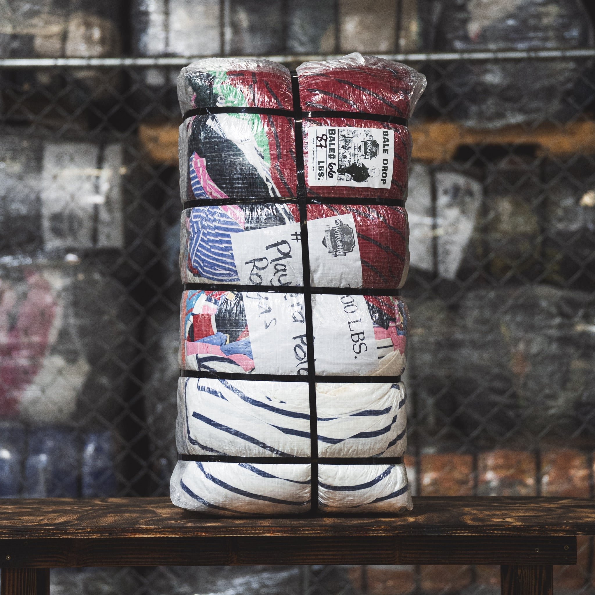 Polo Shirt With Stripe