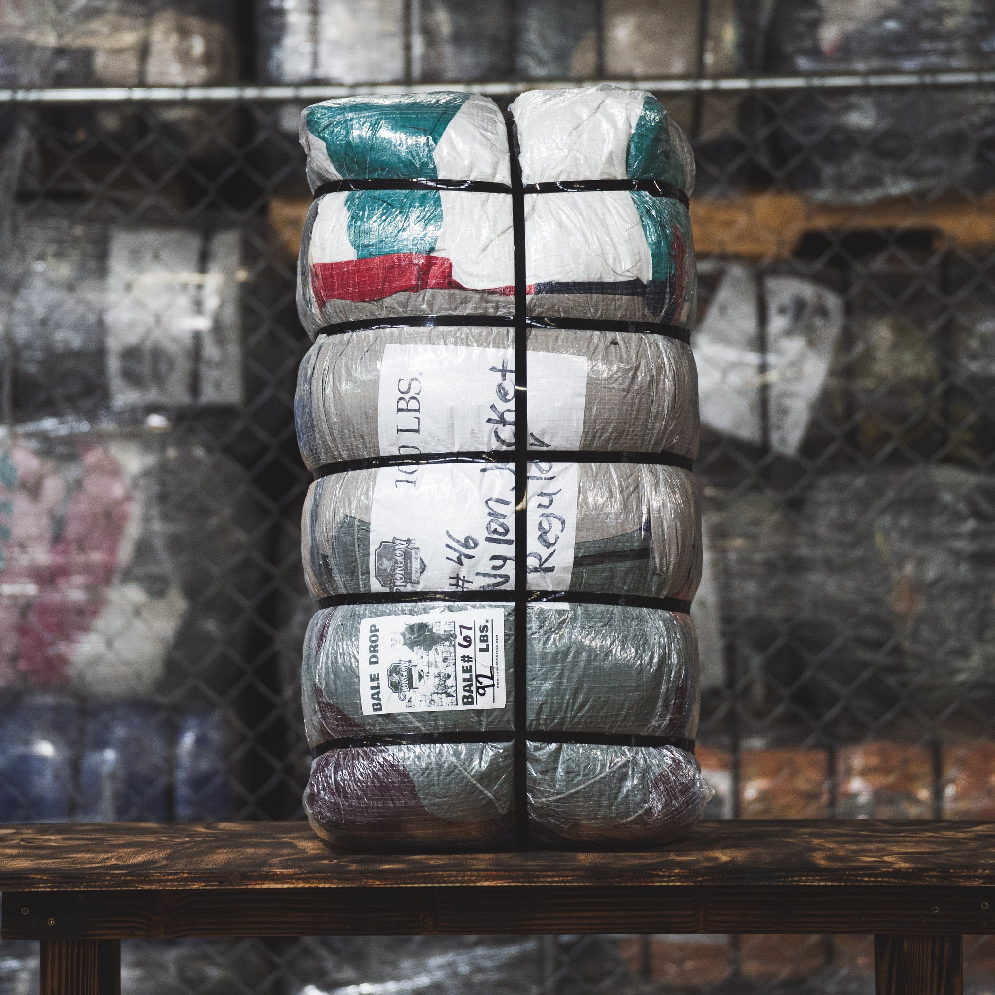 Nylon Jacket Regular