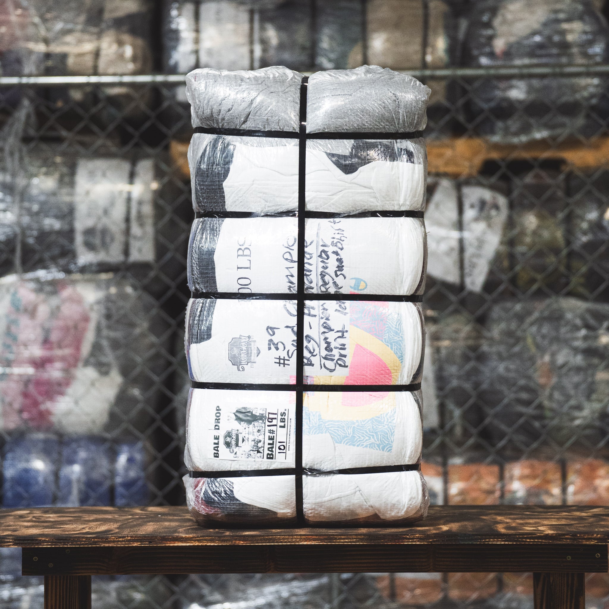 Champion Sweatshirt Regular Print