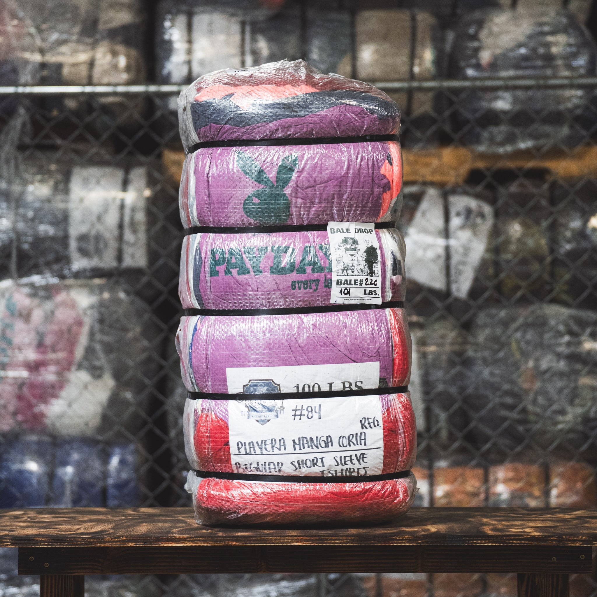 Regular T-Shirt Shortsleeve