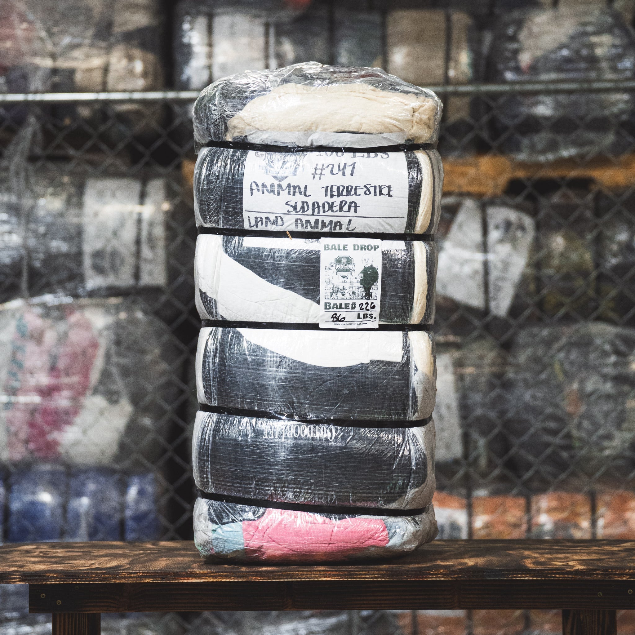 Land Animal Sweaters