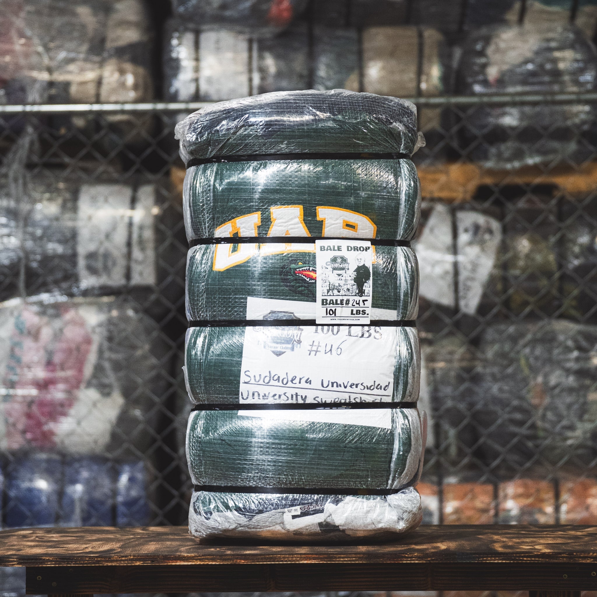 University Sweatshirts