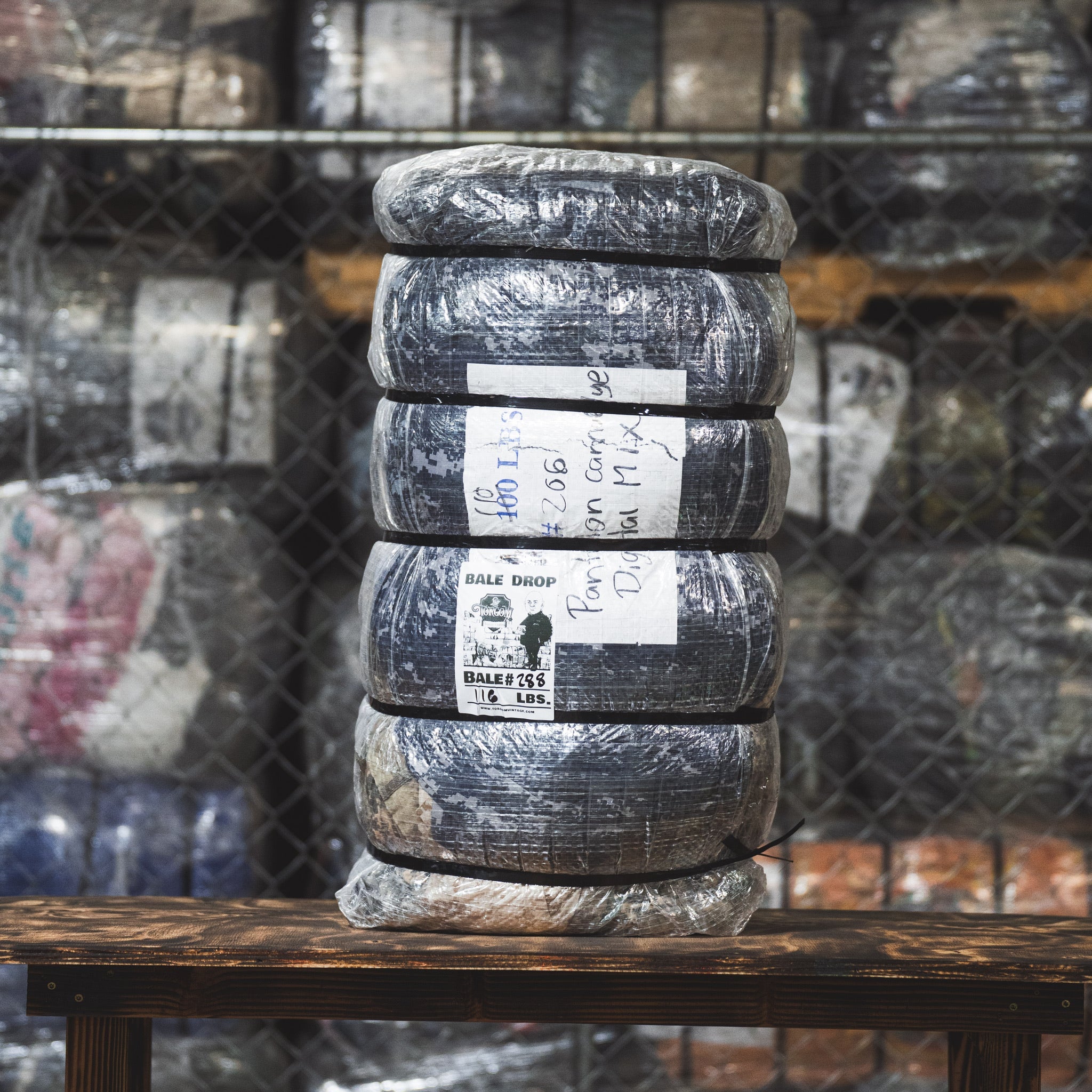 Camo Digital Pants Mixed